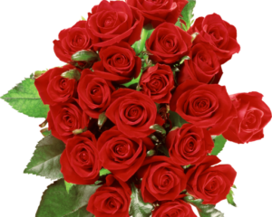 זר ורדים אדום בריא טרי מגשי פירות מעוצבים.png