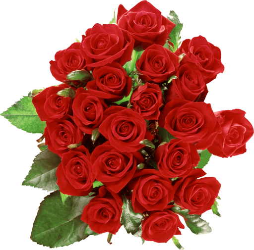זר ורדים אדום בריא טרי מגשי פירות מעוצבים.png